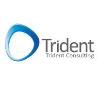 Trident Consulting Jobs